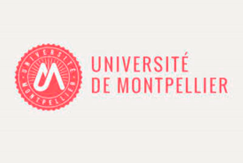 Fransanın Montpellier Universiteti ilə ikili diplom proqramına qəbul davam edir