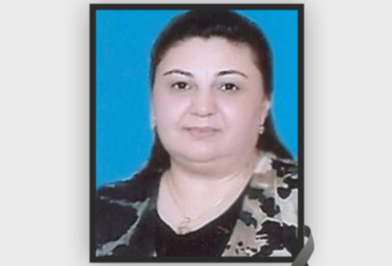 01A8F5DB-A9EB-4526-94F3-15791D20ACC6 Azərbaycandan yaşıl enerji necə ixrac edilə bilər?