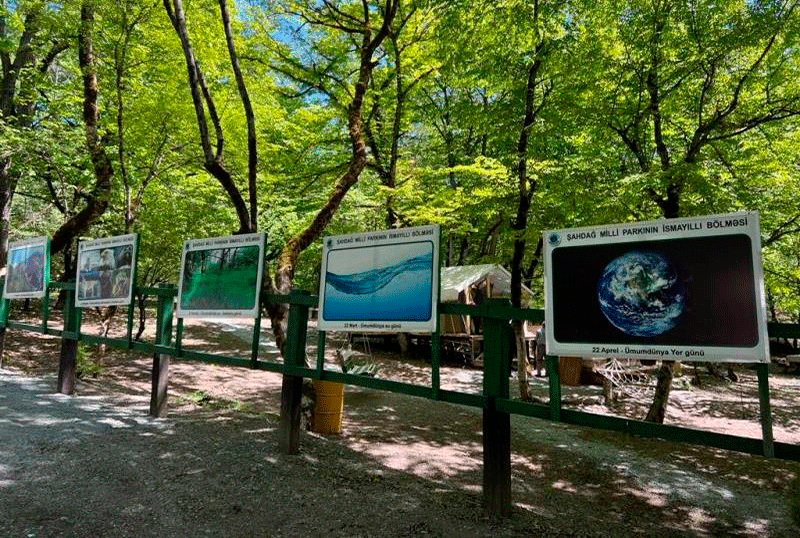UNEC-in “Ekologiya” ixtisasında təhsil alan tələbələri Şahdağ Milli Parkında ekoturda olublar