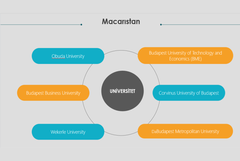 Macarıstan_161225 Ki&ccedil;ik və orta m&uuml;əssisə sahibləri hansı vergiləri &ouml;dəməlidir? - UNEC eksperti şərh edir
