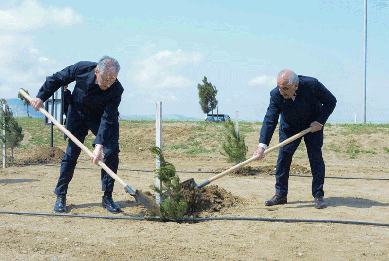 “Heydər Əliyev İli” çərçivəsində UNEC kollektivi ağacəkmə aksiyası keçirib