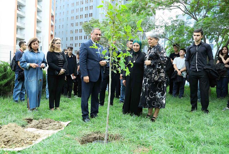 anim_gunu_220925 UNEC-də kök salan şəhidlər: Onların xatirəsi Xan çinarla əbədiləşdirildi | VİDEO