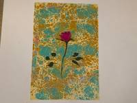 PHOTO-2026-03-11-10-54-39 (2).jpg