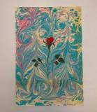 PHOTO-2026-03-11-10-54-39 (1).jpg