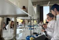 WhatsApp Image 2026-03-13 at 17.45.03 (1).jpeg