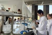 WhatsApp Image 2026-03-13 at 17.43.59 (1).jpeg